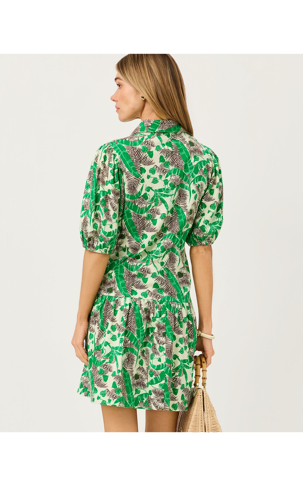 Bingley Dress Spice Hide and Leaf