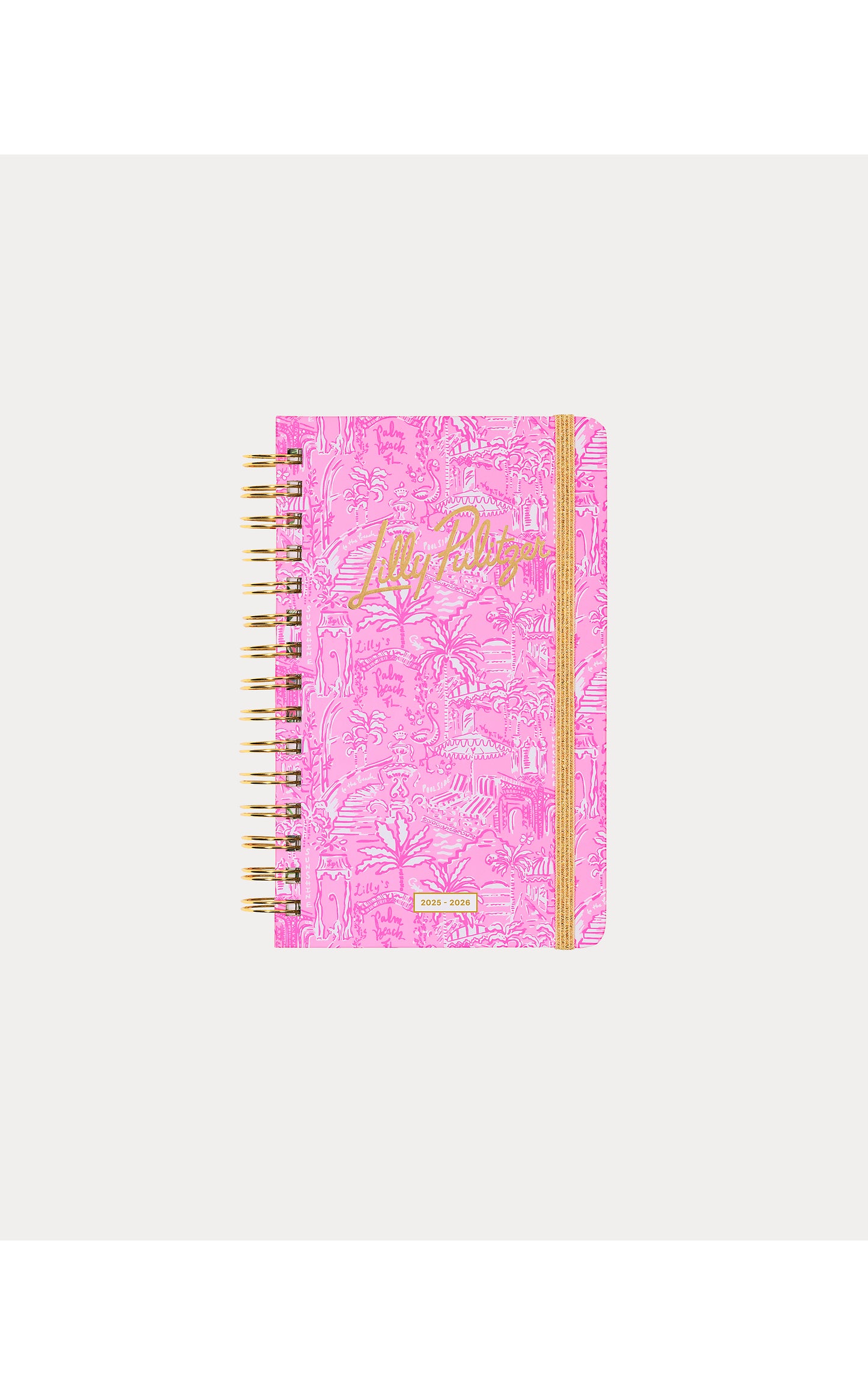 Medium Agenda Palm Beach Playground