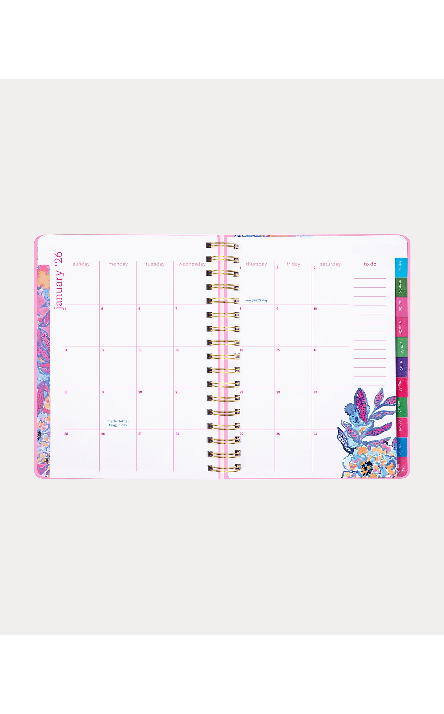 Large Agenda Catchin Rays