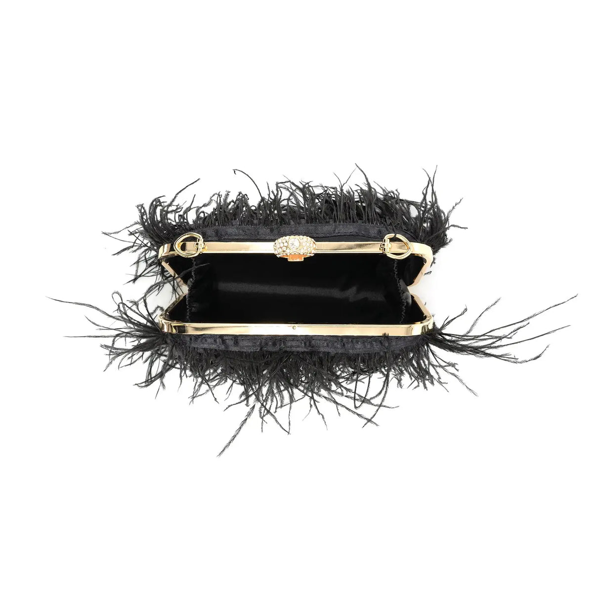 Feathers Black Evening Clutch