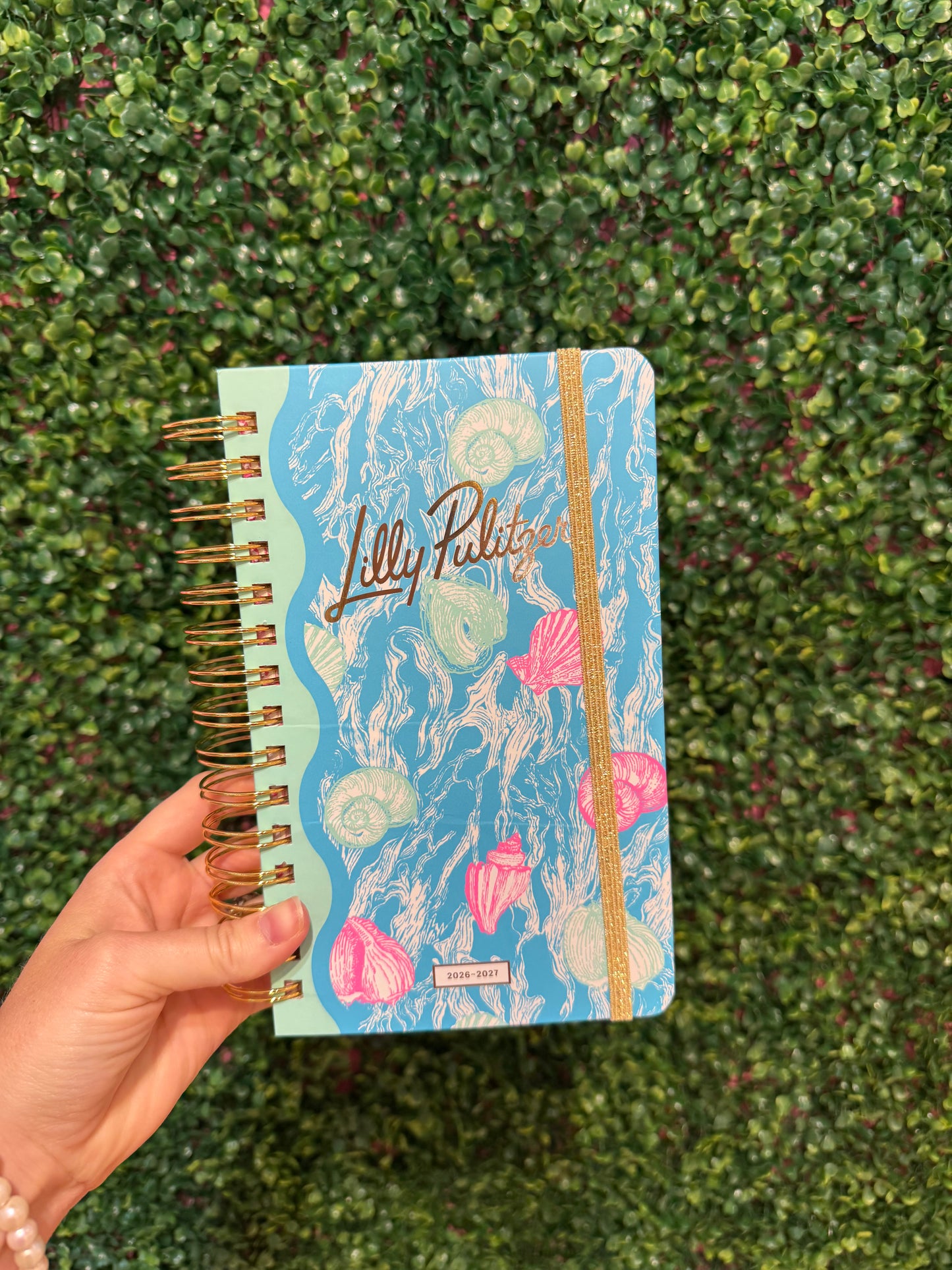 Medium Agenda Shelden
