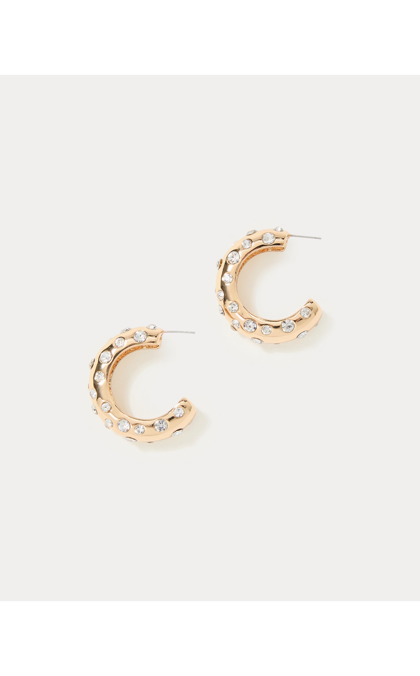 All Dahled Up Hoop Earrings