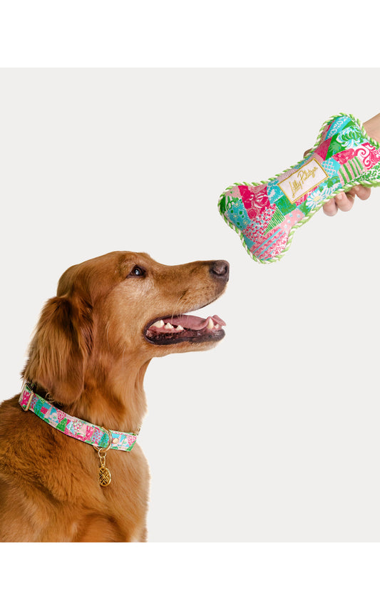 Dog Collar Crazy Quilt