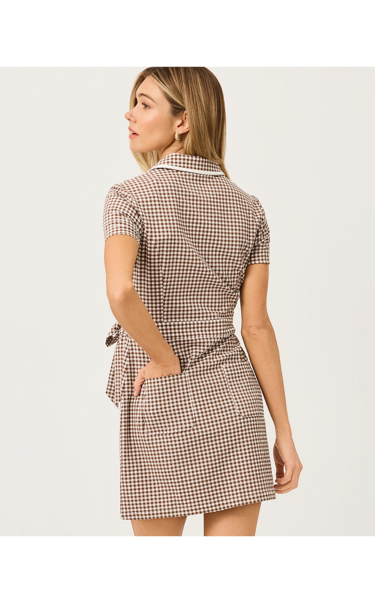 Kathy Short Sleeve Tie Dress UPF 50+ Mini Performance Gingham Coco Beach
