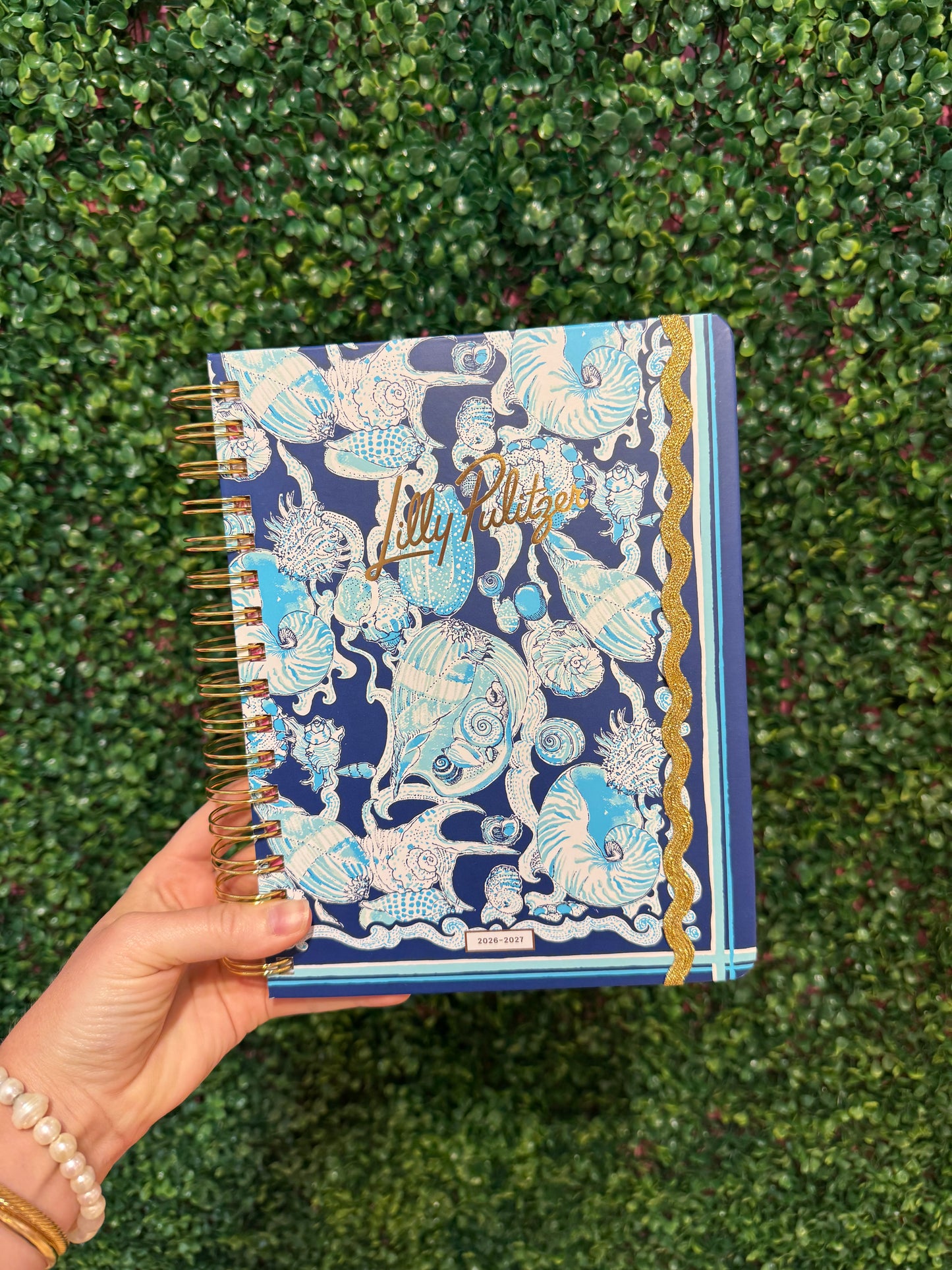 Large Agenda Shell Shine